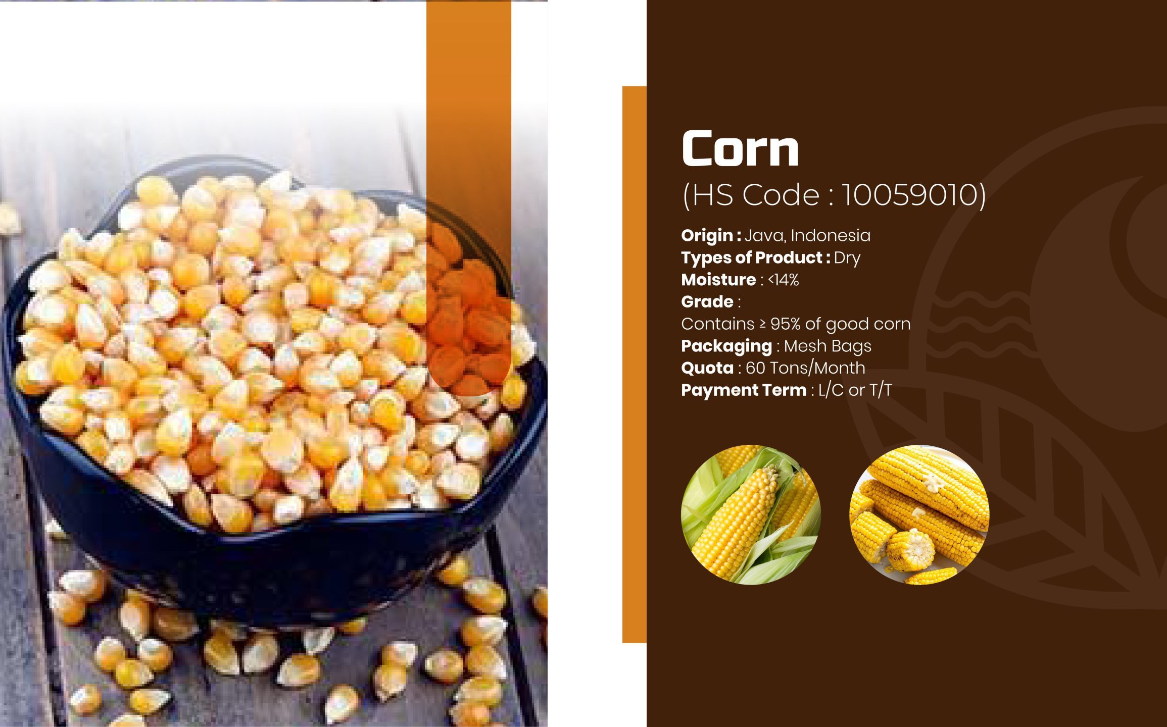 File master JPG Catalog-07